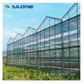 Greenhouse en verre multi-span agricole